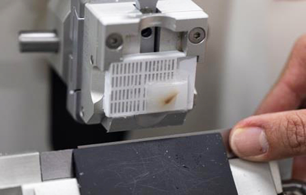 Microtome Blade Cutting sectioning of sample